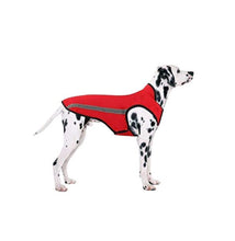 Load image into Gallery viewer, 1007 Pet supplies Red Winter Jacket Large Slowton *