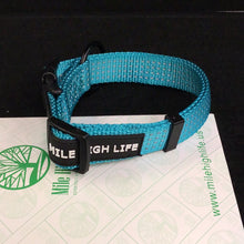 Load image into Gallery viewer, 1139 Mile High Pet Collar Teal *
