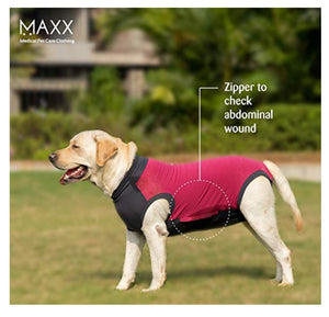 1006 Pet Dog MAXX Medical Pet Care Clothing S+ *
