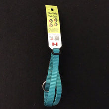 Load image into Gallery viewer, 1045 Paw Tracks Pet Gear Dog Collar Teal Plastic Small MADE IN CANADA