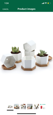 4.4 out of 5 stars1,200 Reviews T4U Small White Succulent Planter Pots with Bamboo Tray Pack of 6, Hexagon Plant Holder with Drainage Hole, Cactus Container for Home Office Table Desk Decoration Gift