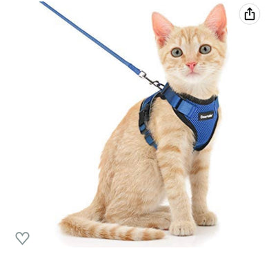 1023 amogato Cat Harness and Leash Escape Proof for Walking, Adjustable Vest Harness for Small Medium Cats